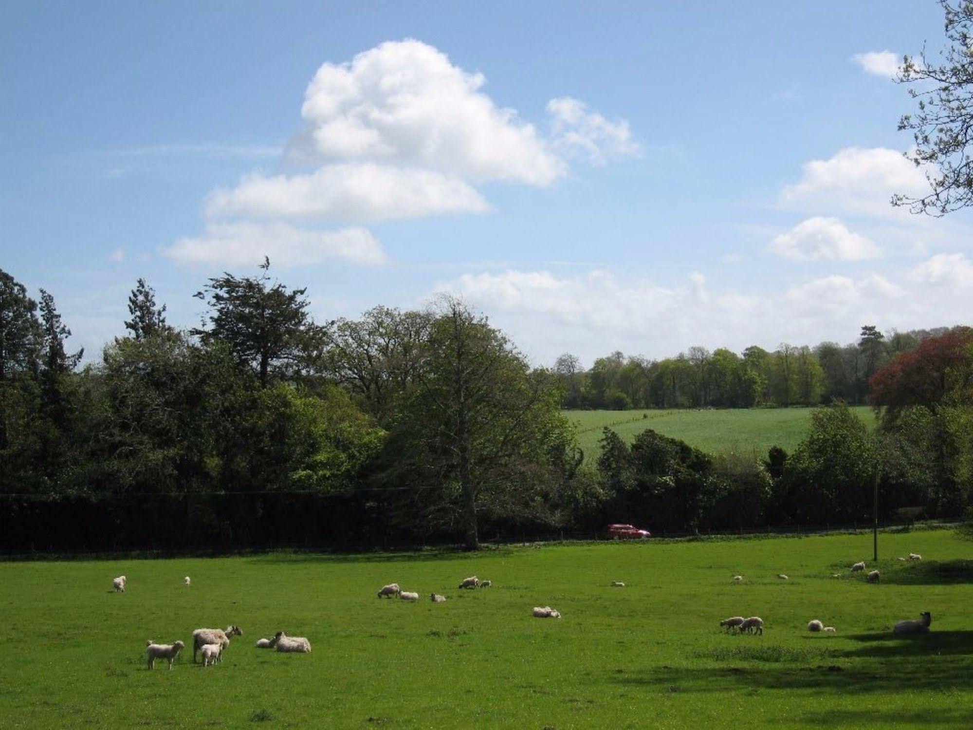 Hotel 32 The Green à Havant Extérieur photo
